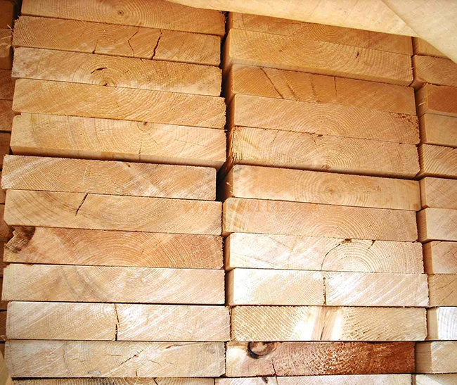 平南智利辐射松方木