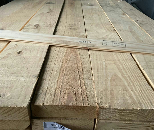 平南阿根廷松木